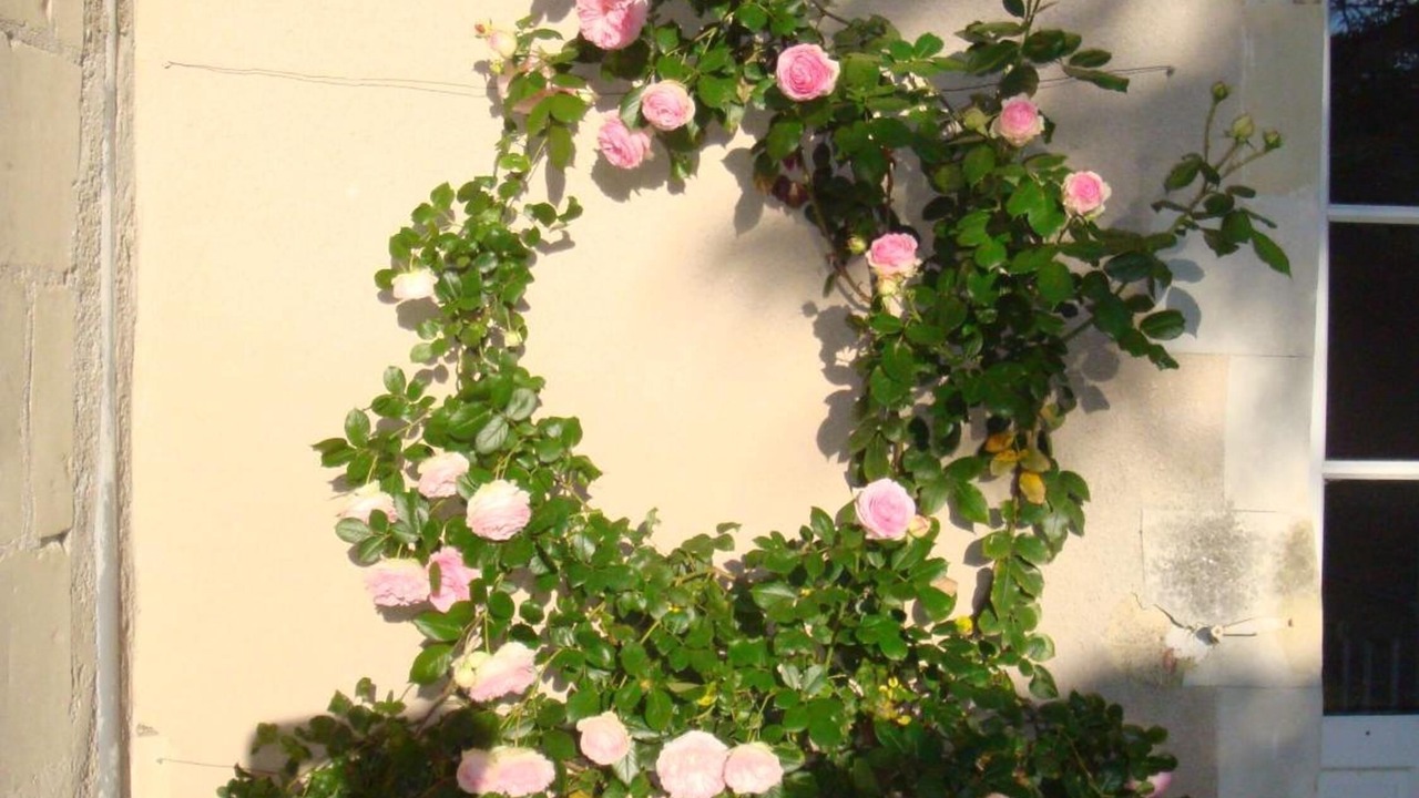 Photo of Outdoor in Antoigne