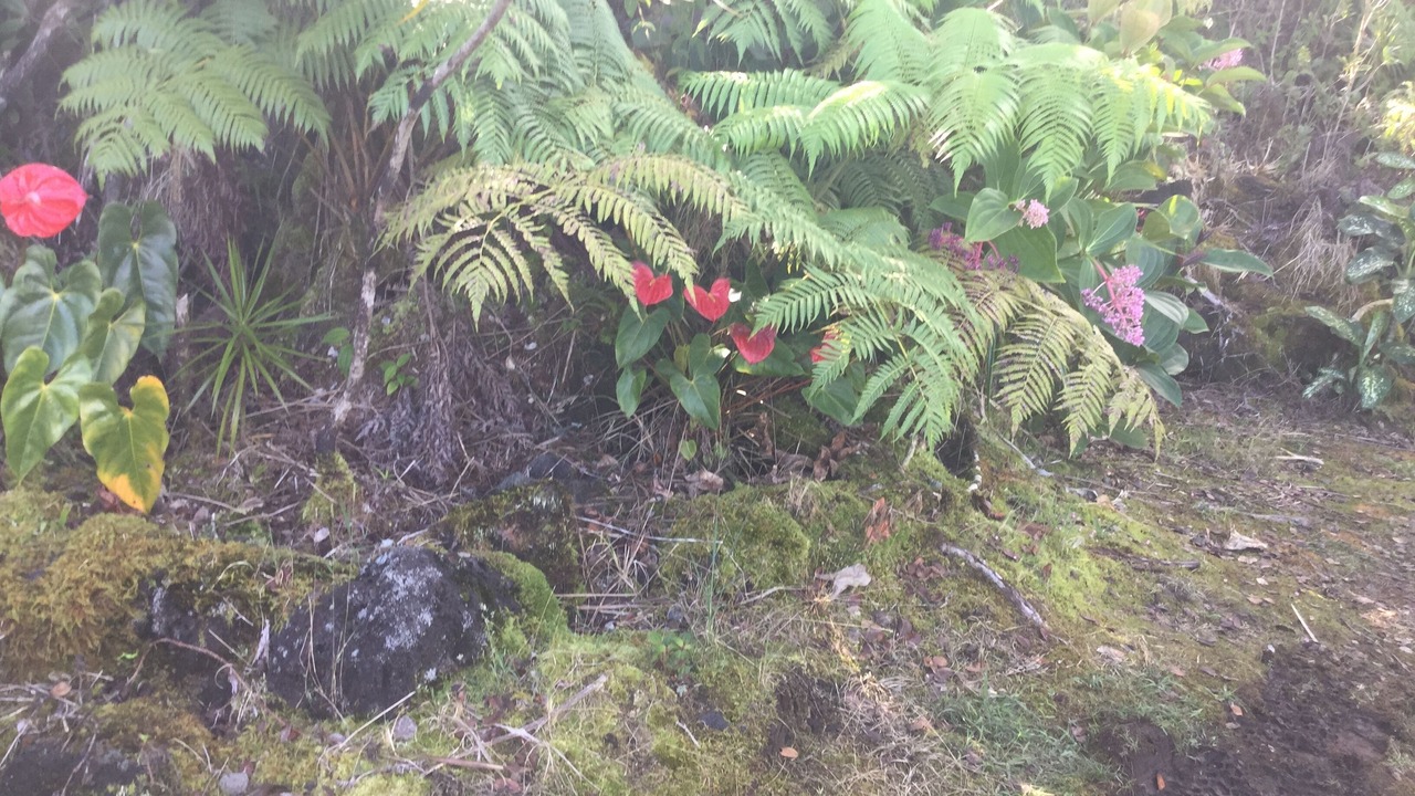 Photo of Outdoor in Mountain View