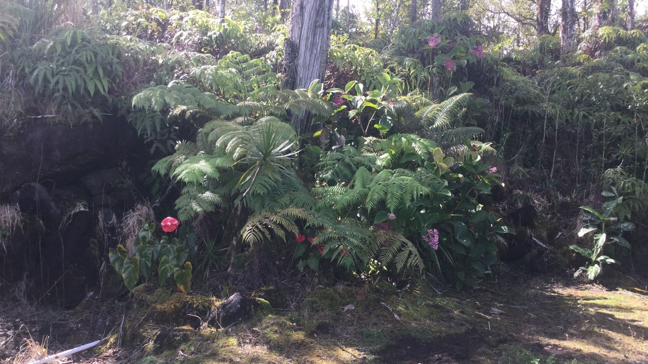 Photo of Outdoor in Mountain View