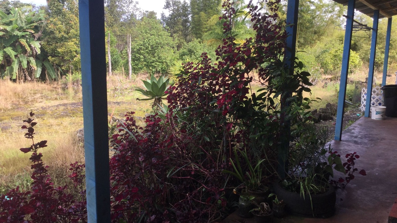 Photo of Outdoor in Mountain View