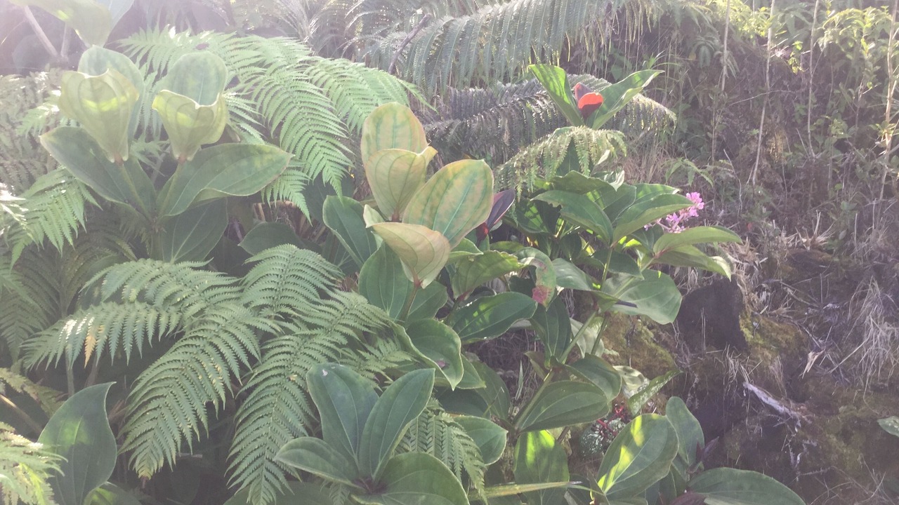 Photo of Outdoor in Mountain View