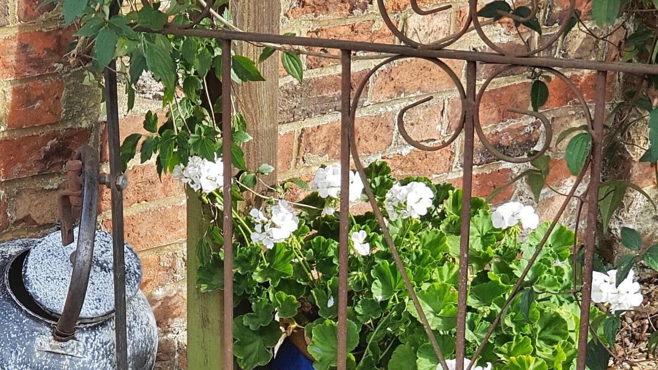 Photo of Outdoor in Cranfield