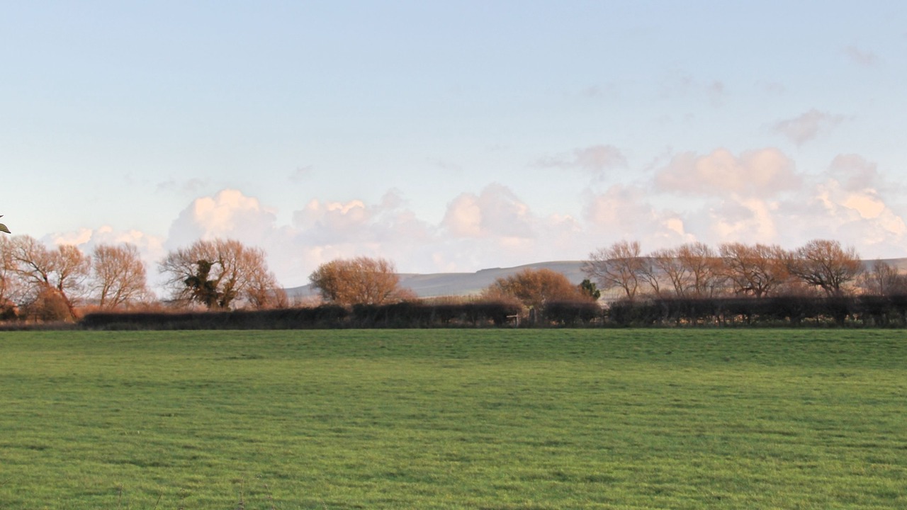 Photo of Outdoor in Lewes