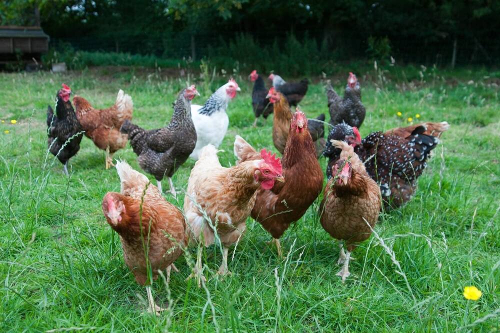 Photo of Outdoor in Lullington