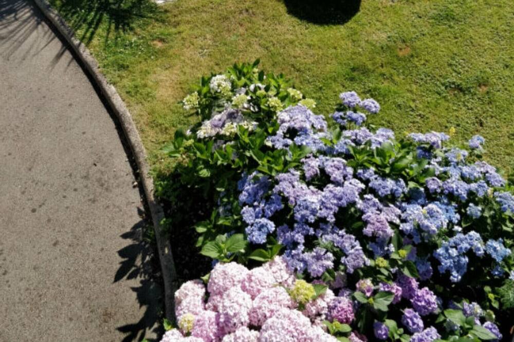 Photo of Outdoor in Les Moutiers-en-Retz