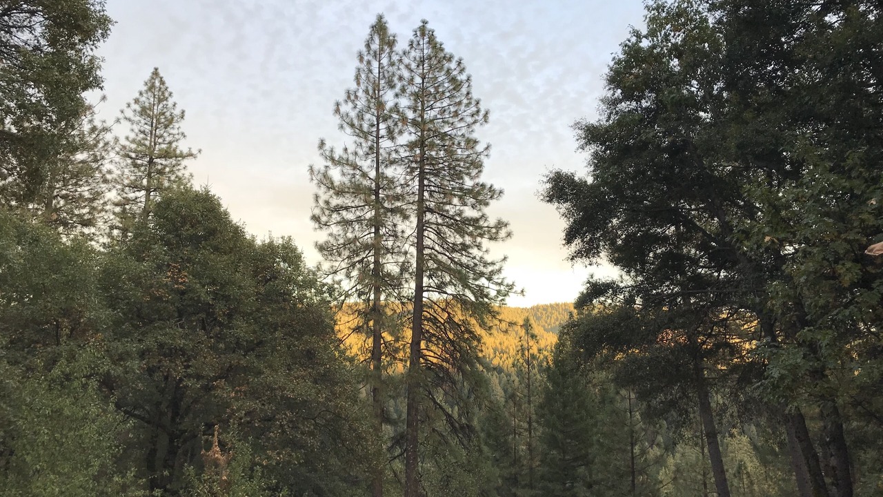 Photo of Others in Nevada City