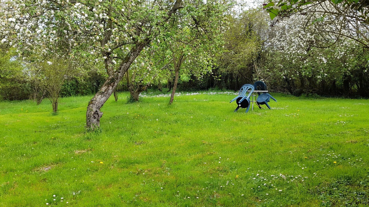 Photo of Outdoor in Besson