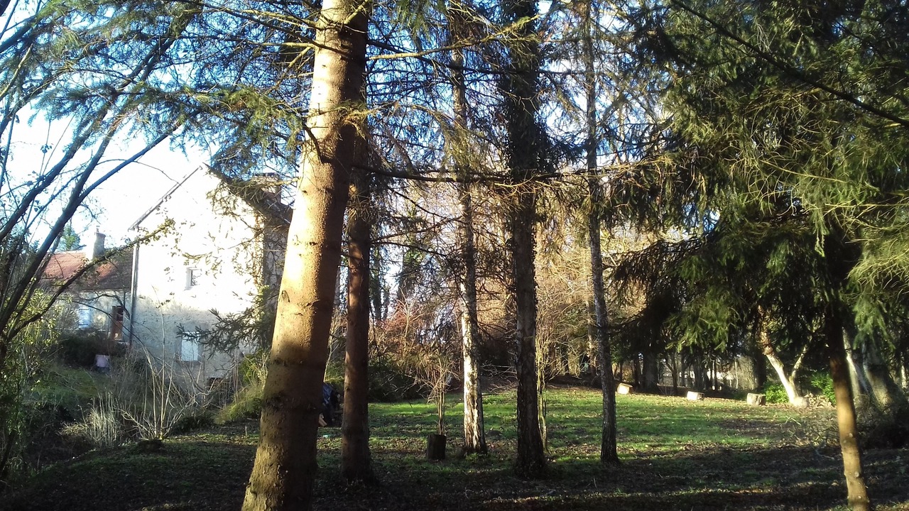 Photo of Outdoor in Besson