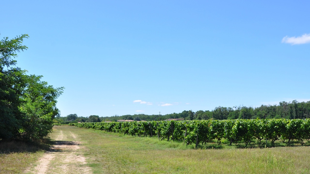Photo of Outdoor in Pujols-sur-Ciron