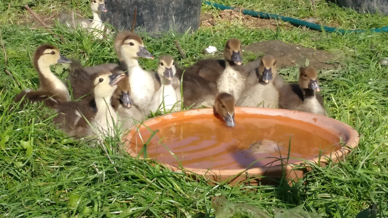 Photo of Others in Fuglebjerg