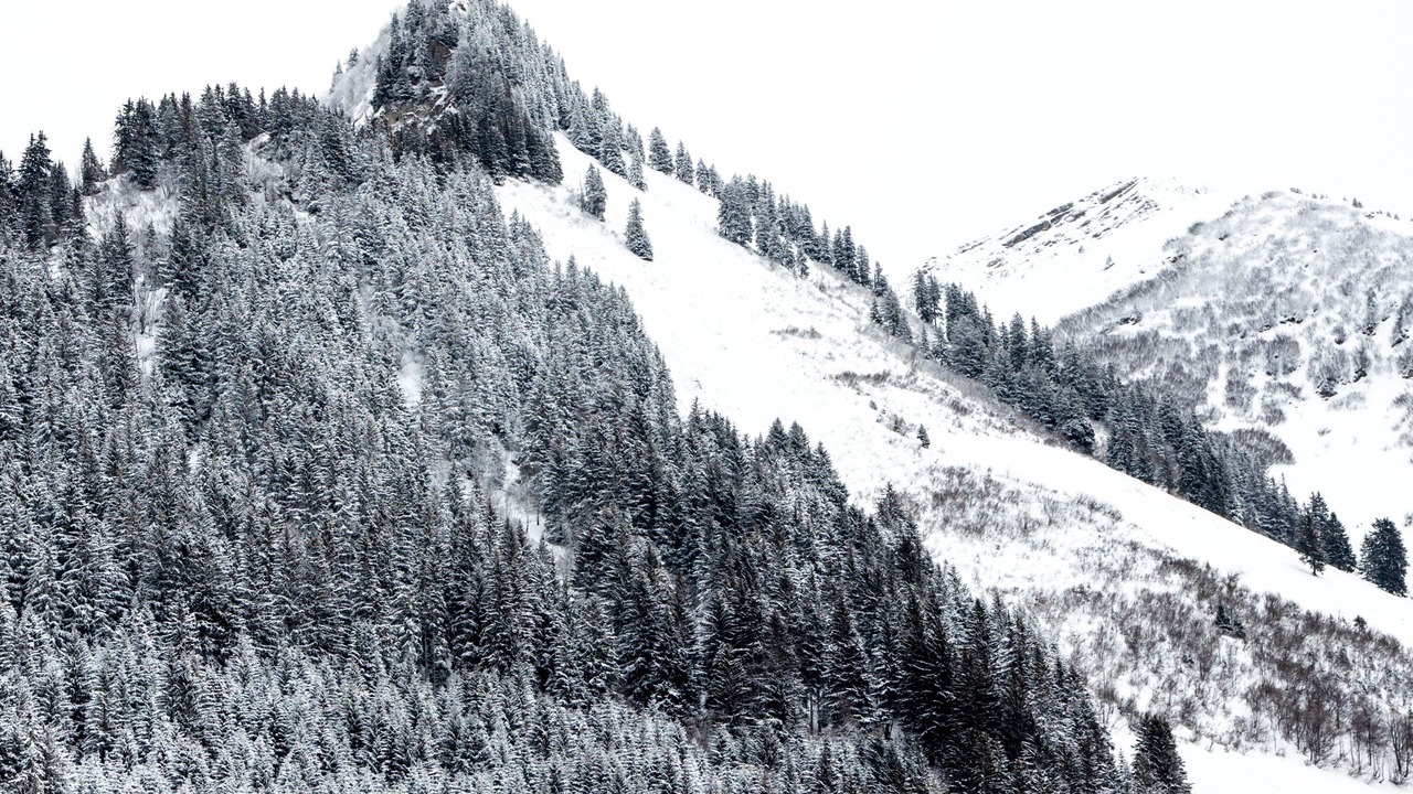 Photo of Outdoor in Les Mosses