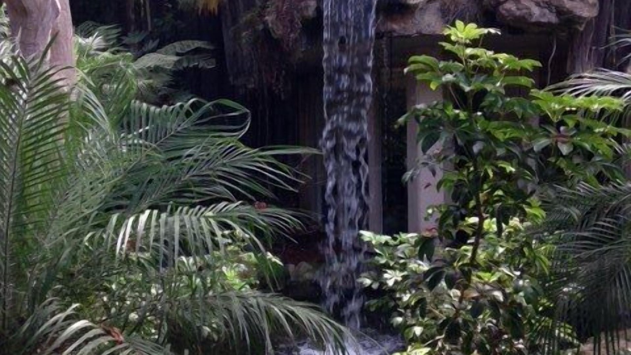 Photo of Outdoor in Townsite