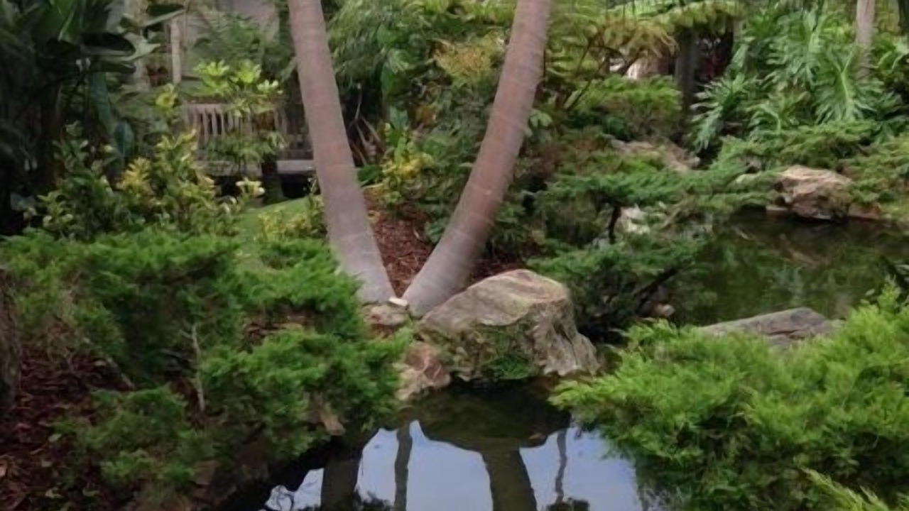 Photo of Outdoor in Townsite
