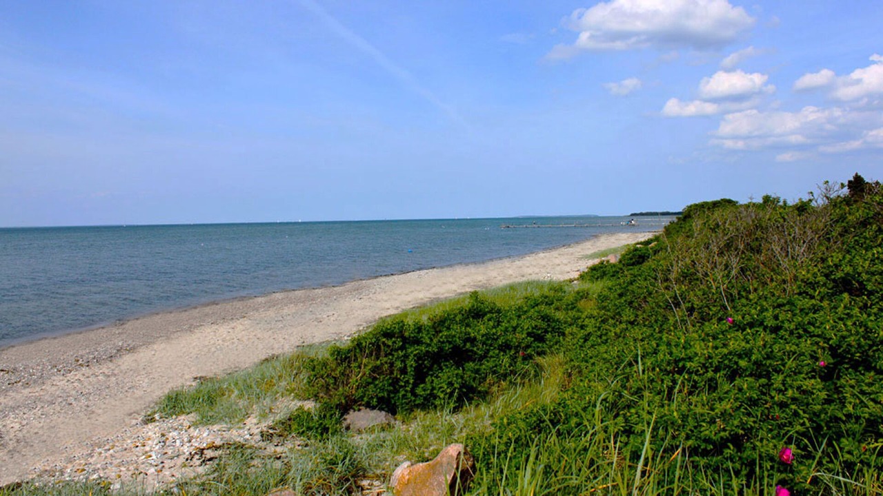 Photo of Others in Skastrup Strand
