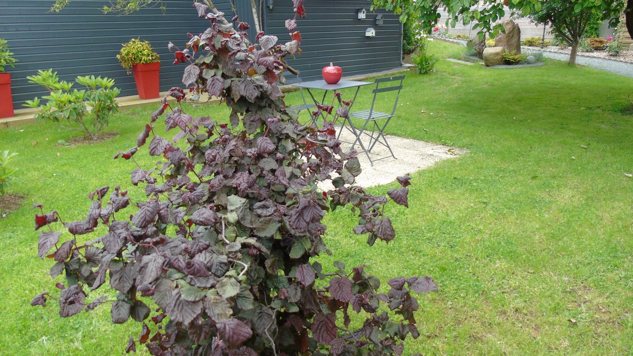 Photo of Outdoor in Mantilly