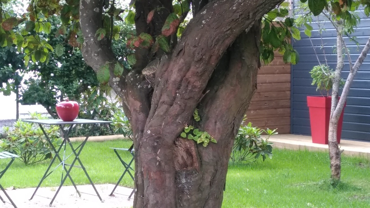 Photo of Outdoor in Mantilly