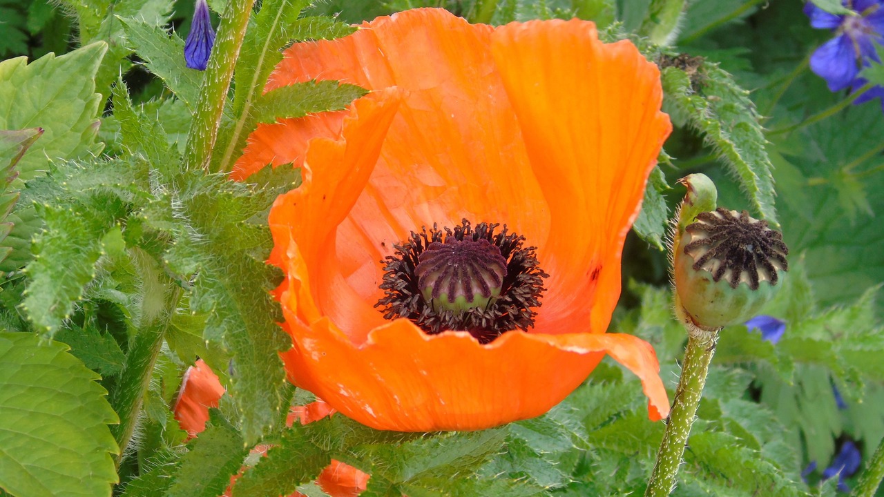 Photo of Outdoor in Mantilly