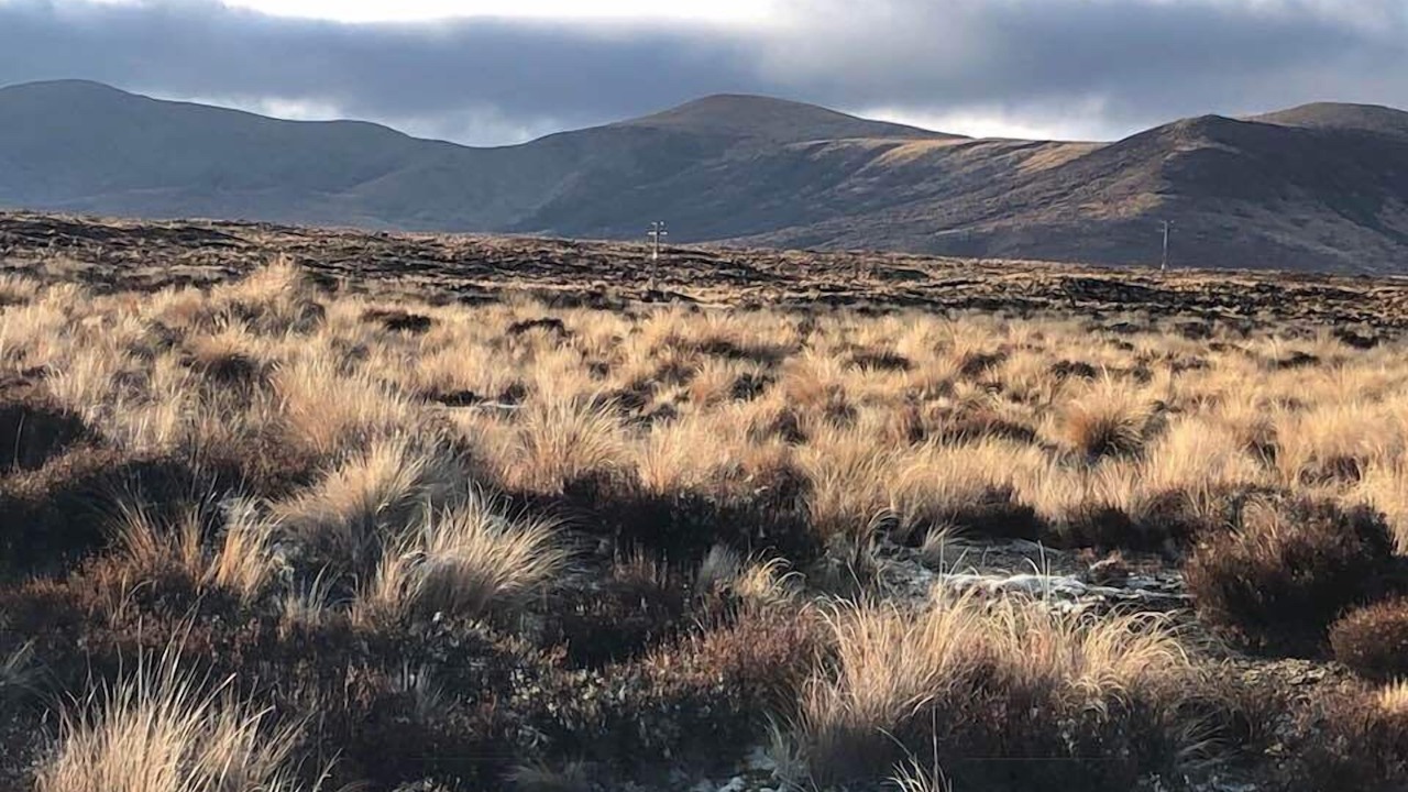 Photo of Outdoor in Waiouru