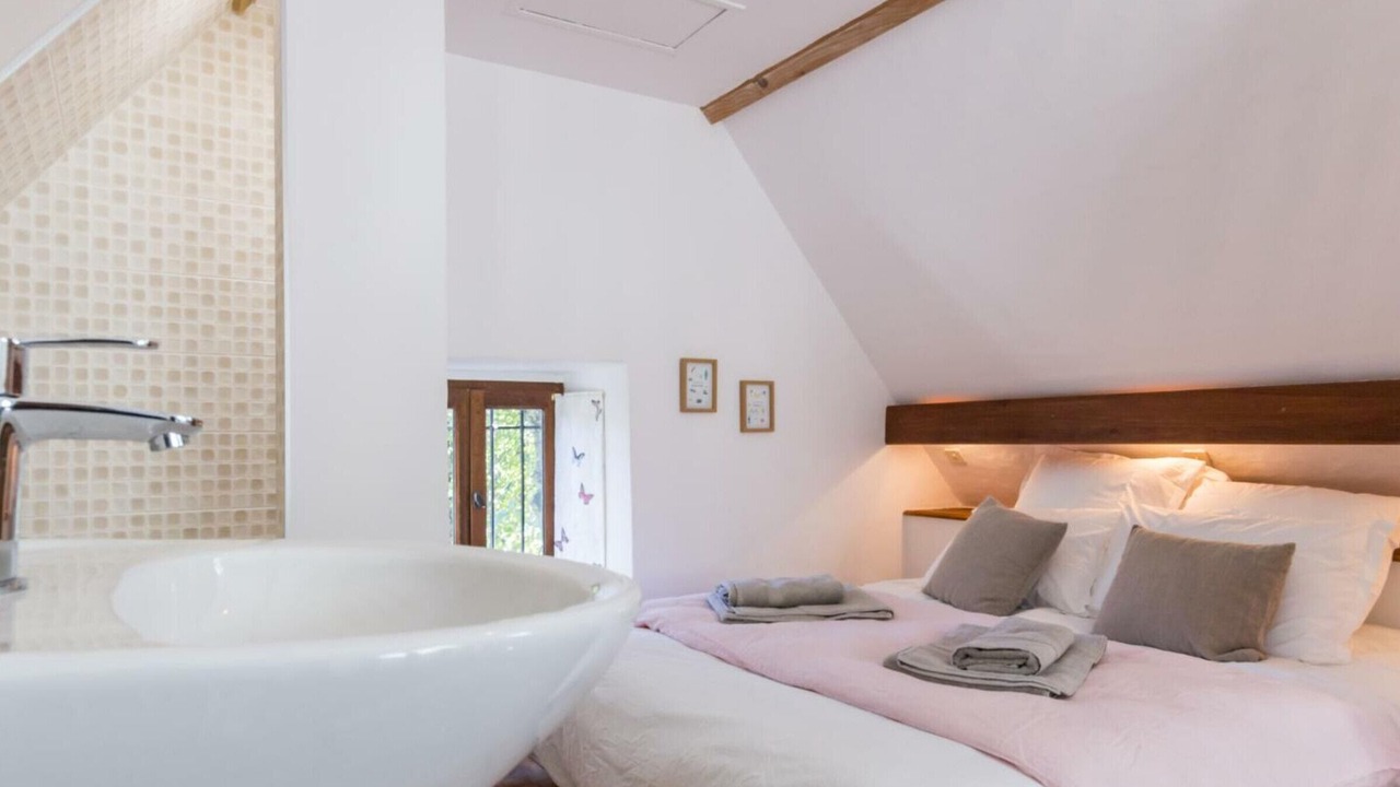 Photo of Others in Vains