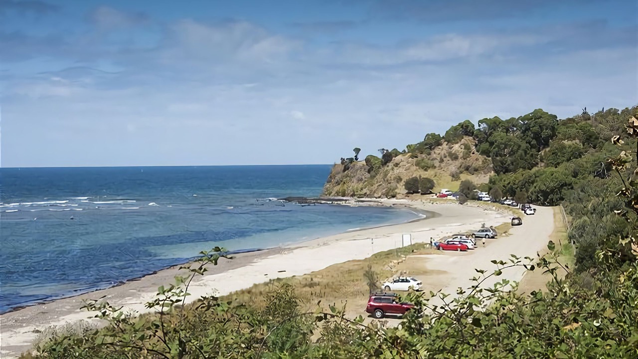 Photo of Others in Shoreham