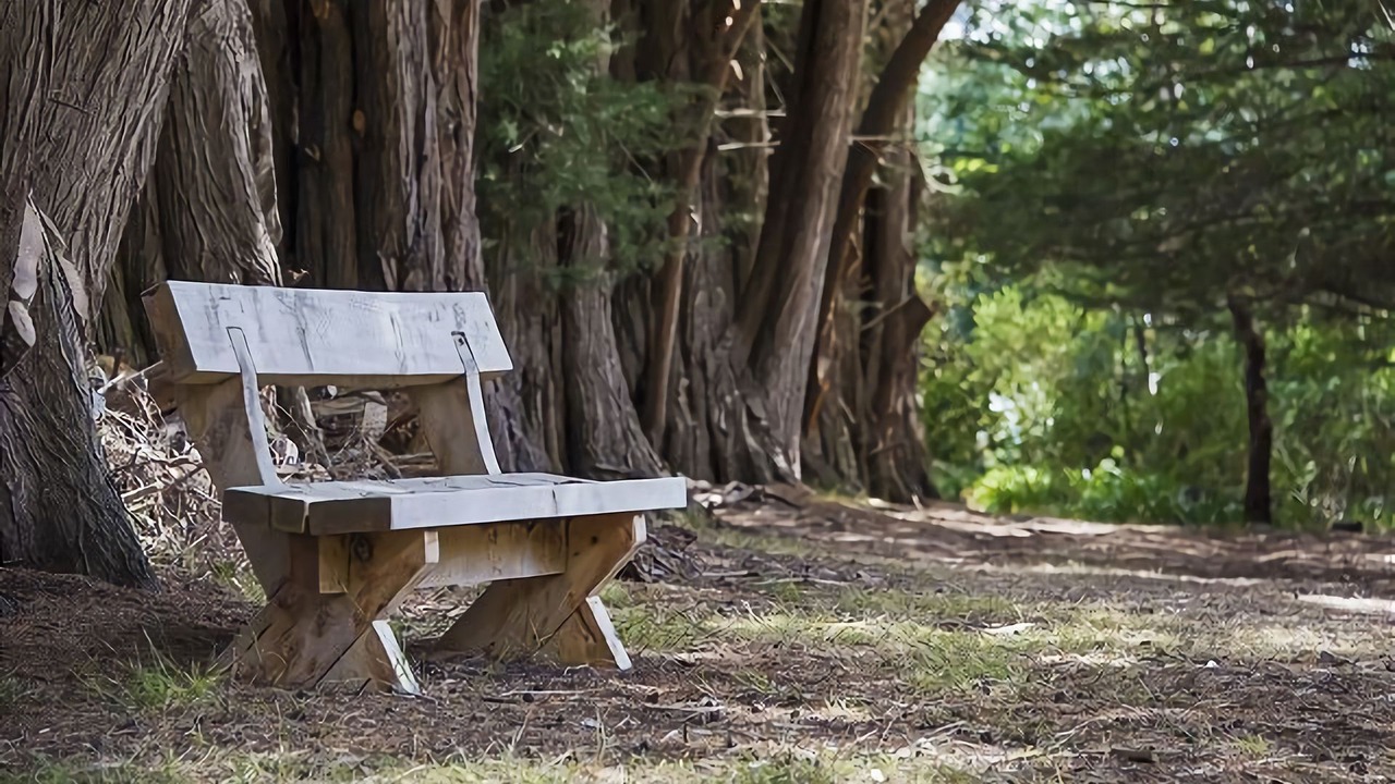 Photo of Outdoor in Shoreham