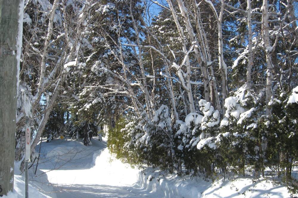 Photo of Outdoor in Saint-Henri-de-Taillon