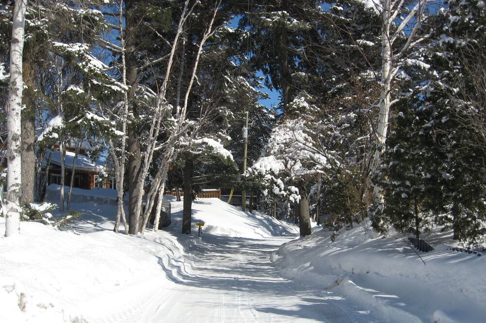 Photo of Others in Saint-Henri-de-Taillon