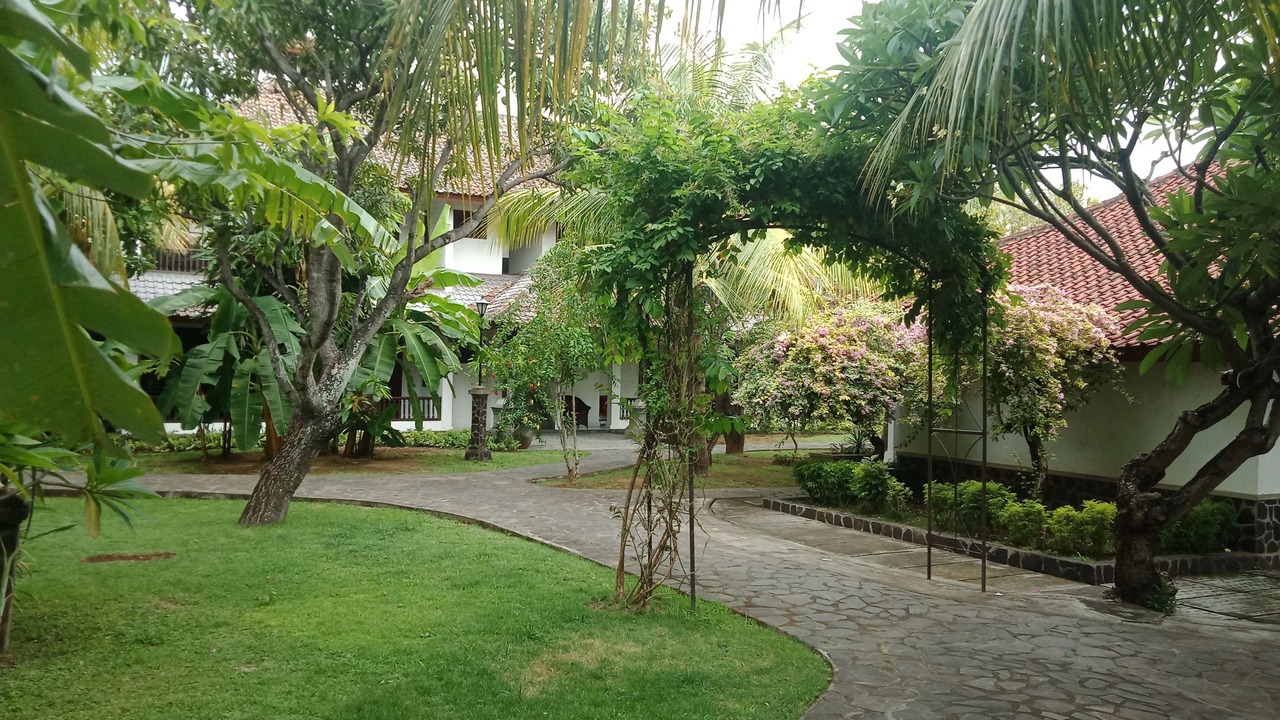 Photo of Outdoor in Lovina