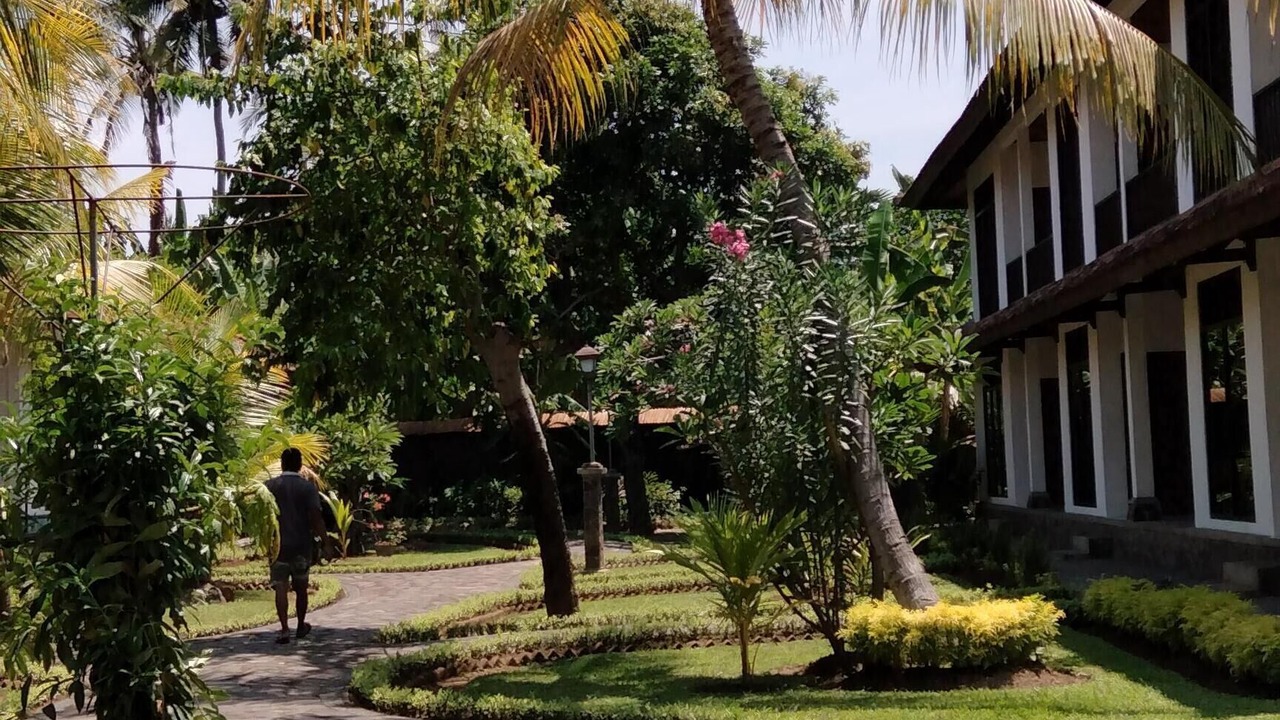 Photo of Outdoor in Lovina