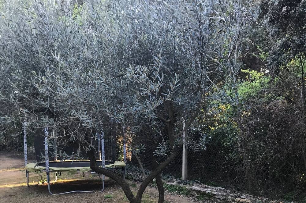 Photo of Outdoor in Aubais