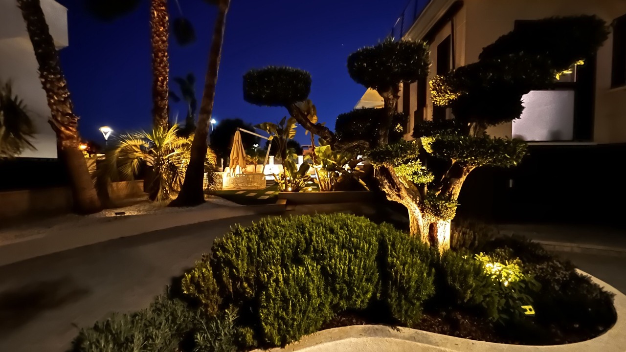 Photo of Outdoor in Playa Flamenca