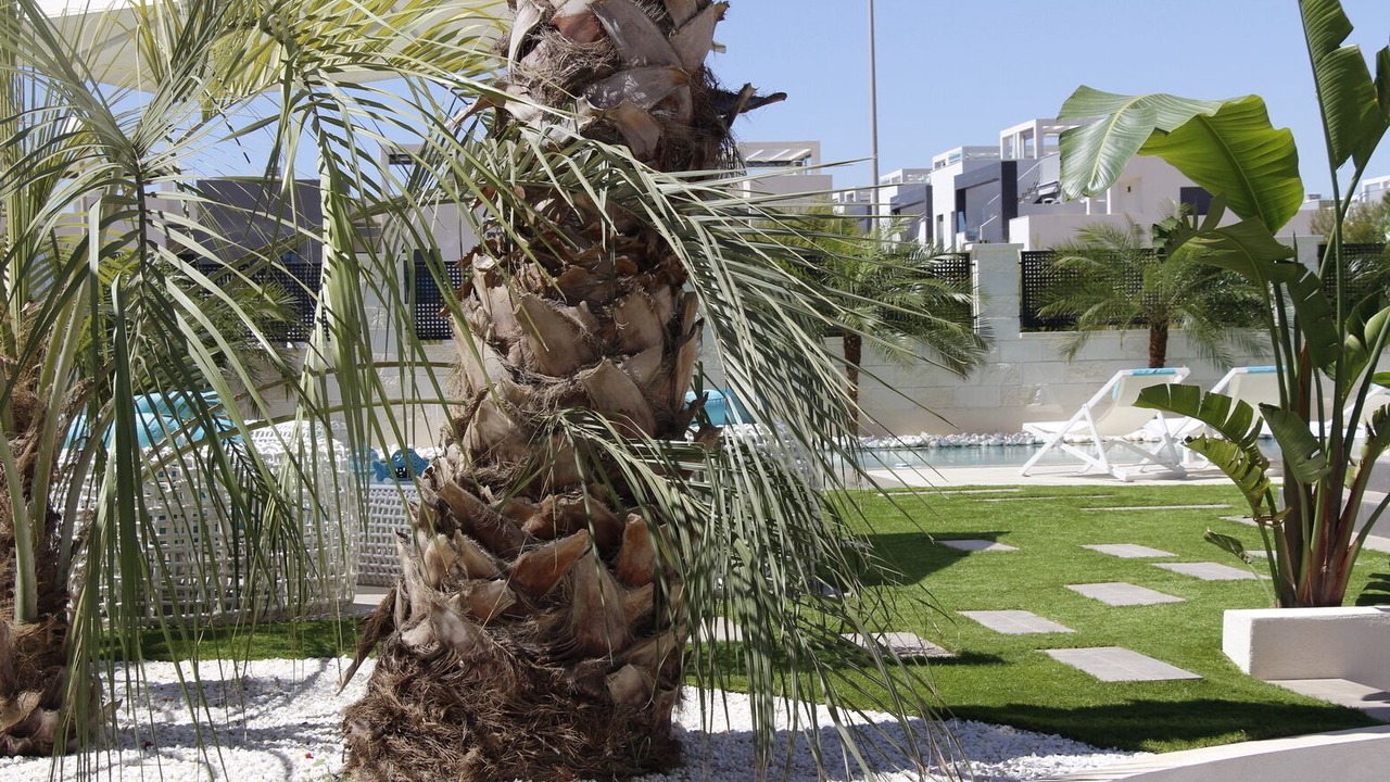 Photo of Outdoor in Playa Flamenca