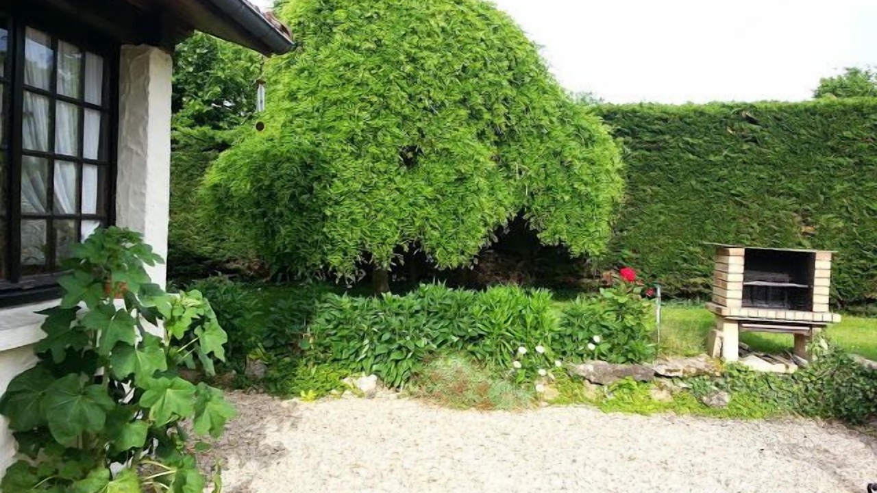Photo of Outdoor in Saacy-sur-Marne