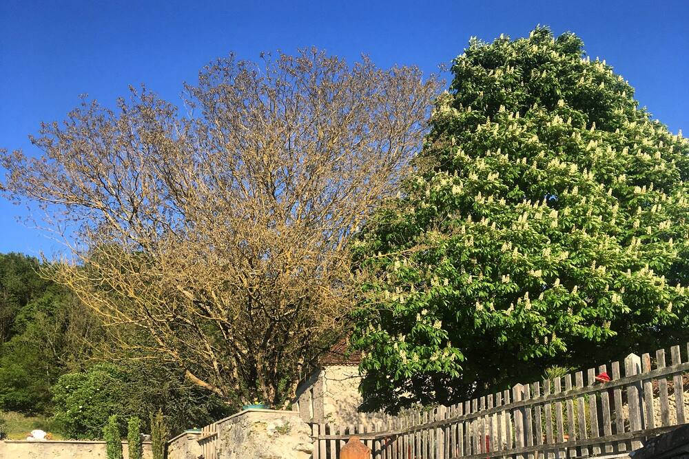 Photo of Others in Beauville