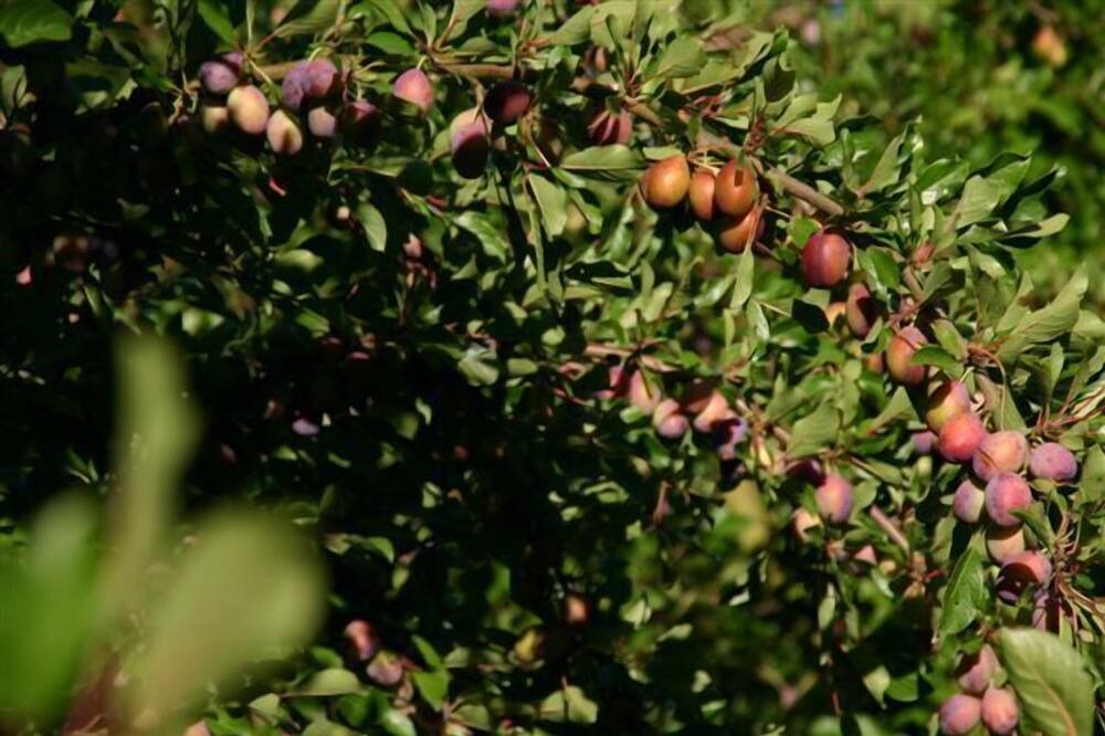 Photo of Outdoor in Beauville