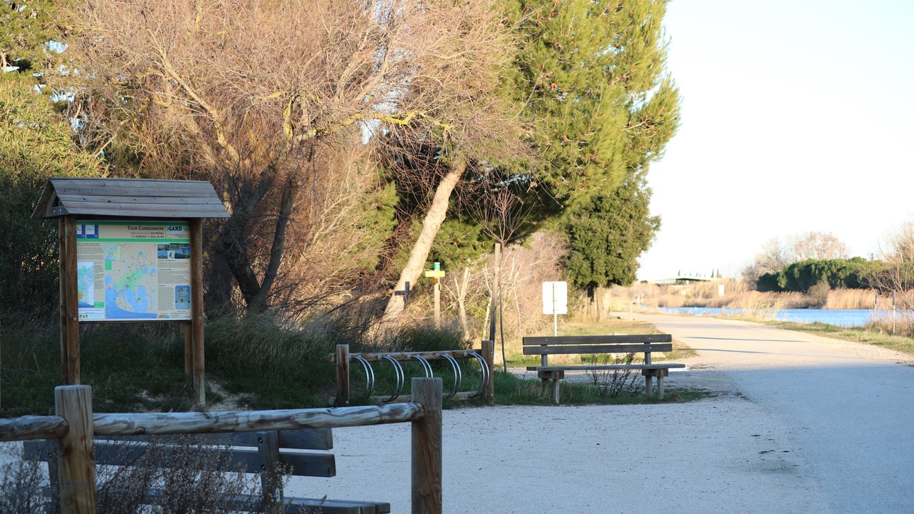 Photo of Outdoor in Saint-Laurent-d'Aigouze