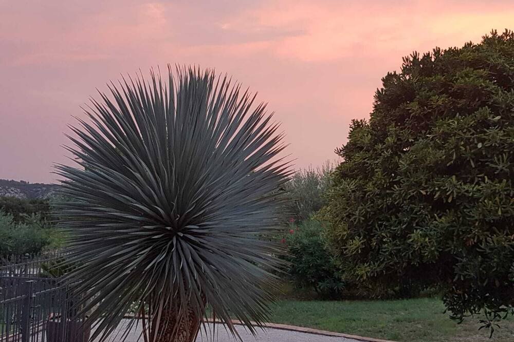 Photo of Outdoor in Roquemaure