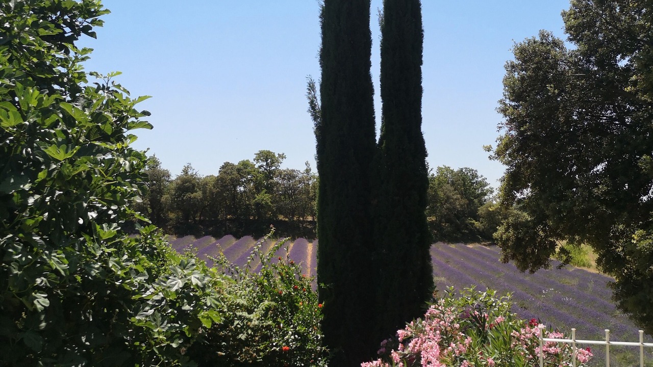 Photo of Outdoor in Montbrison-sur-Lez