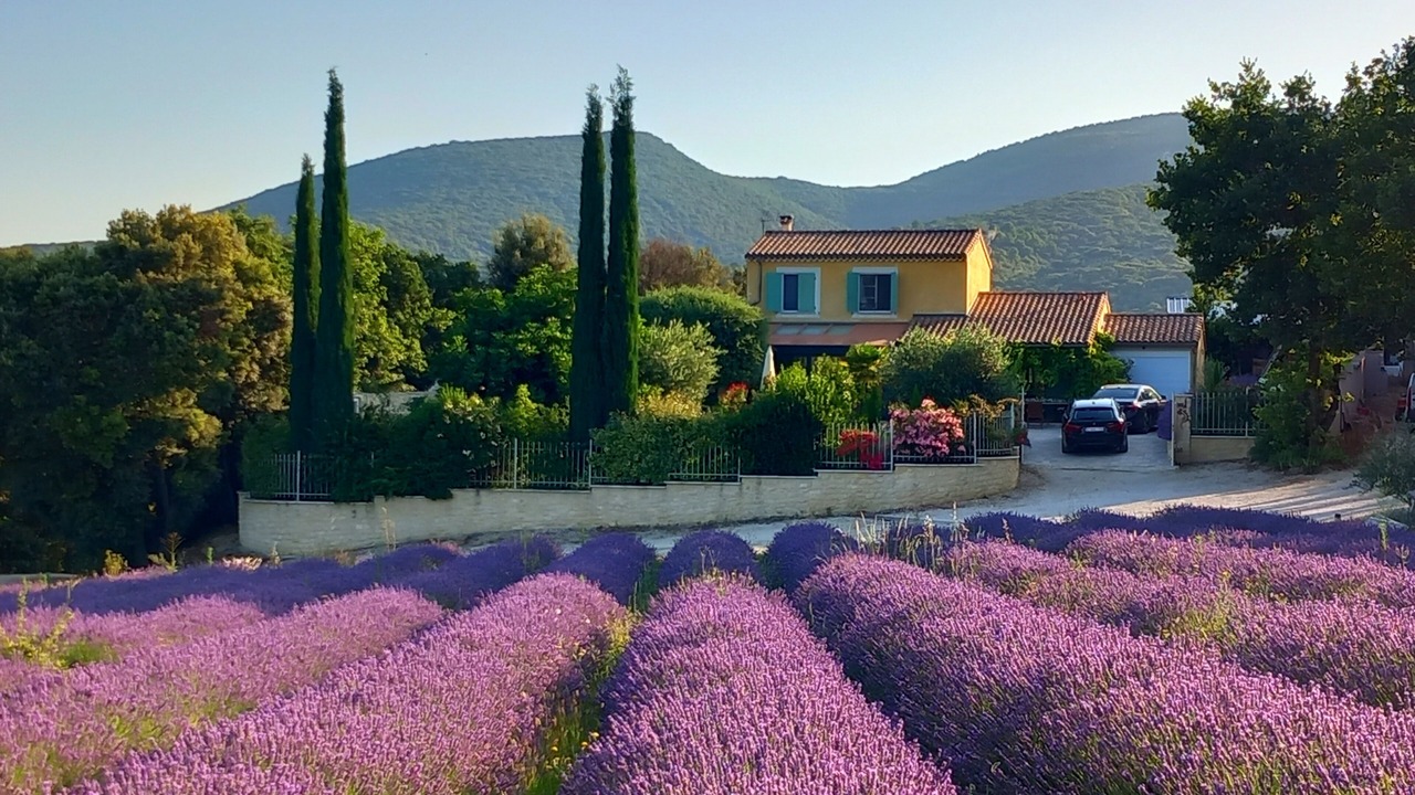 Photo of Outdoor in Montbrison-sur-Lez