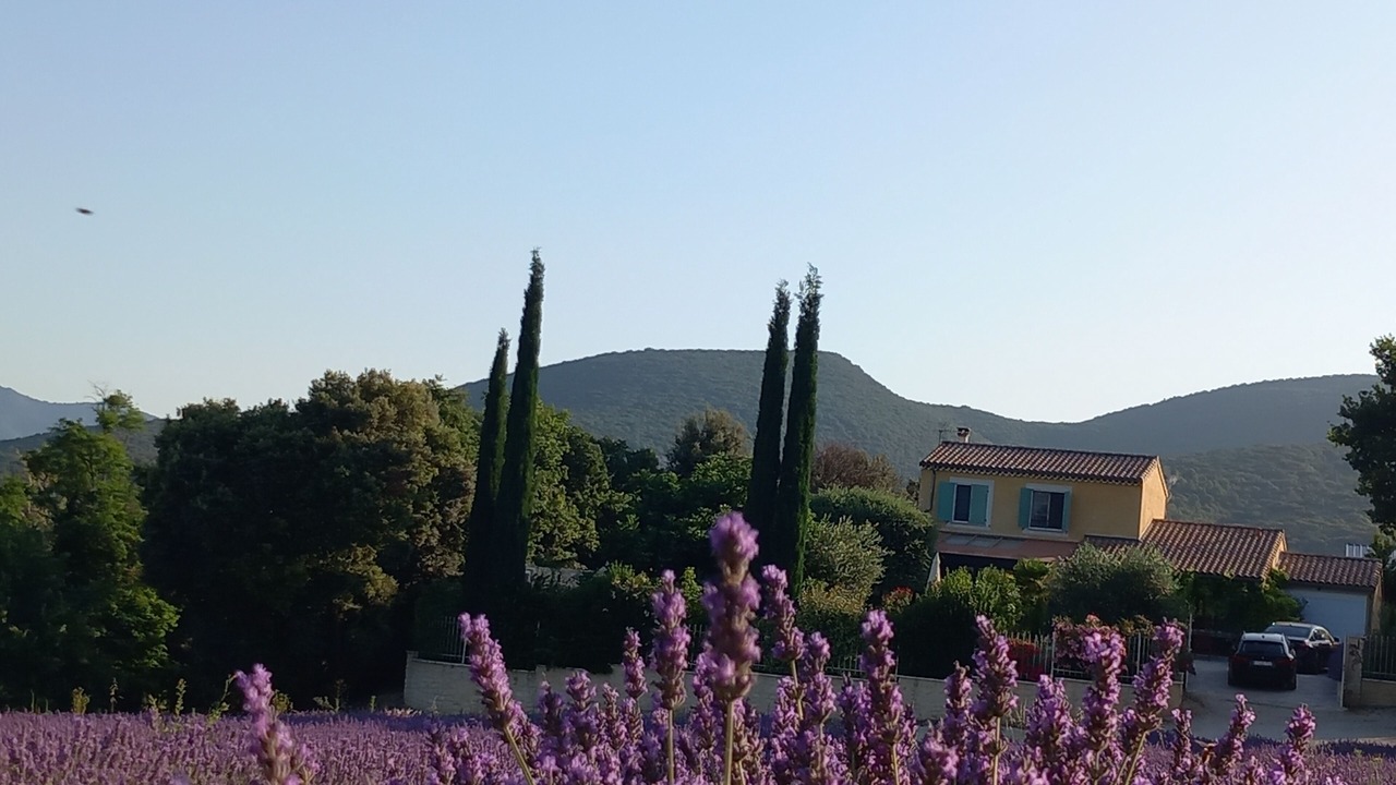 Photo of Outdoor in Montbrison-sur-Lez