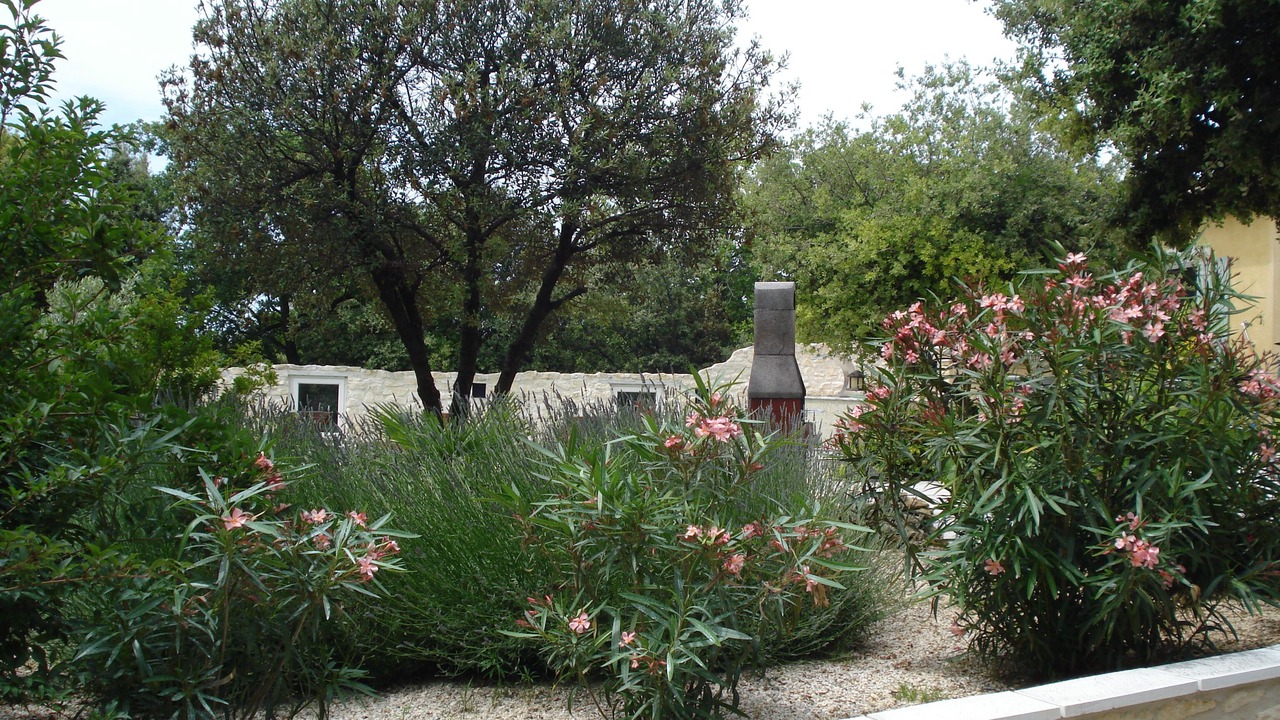 Photo of Outdoor in Montbrison-sur-Lez