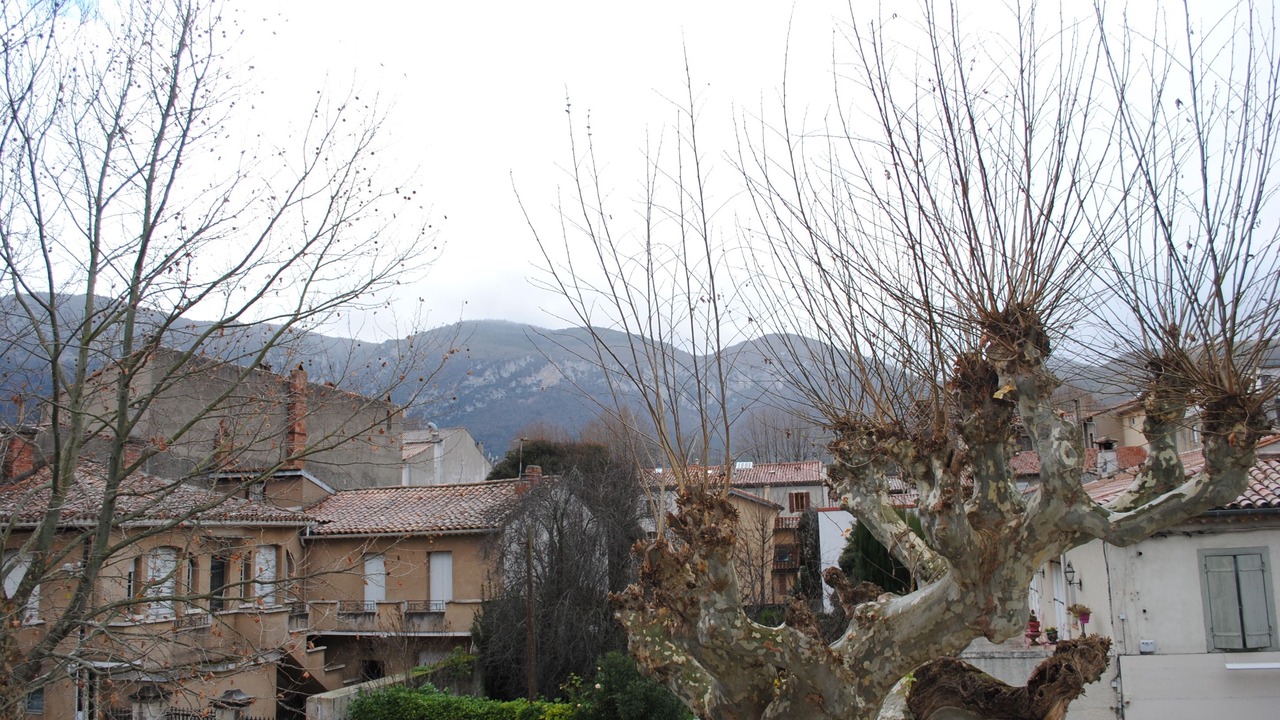 Photo of Buildings in Quillan
