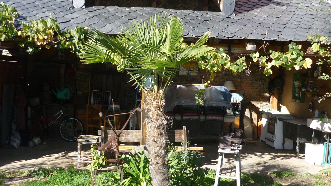 Photo of Outdoor in Toral de Merayo