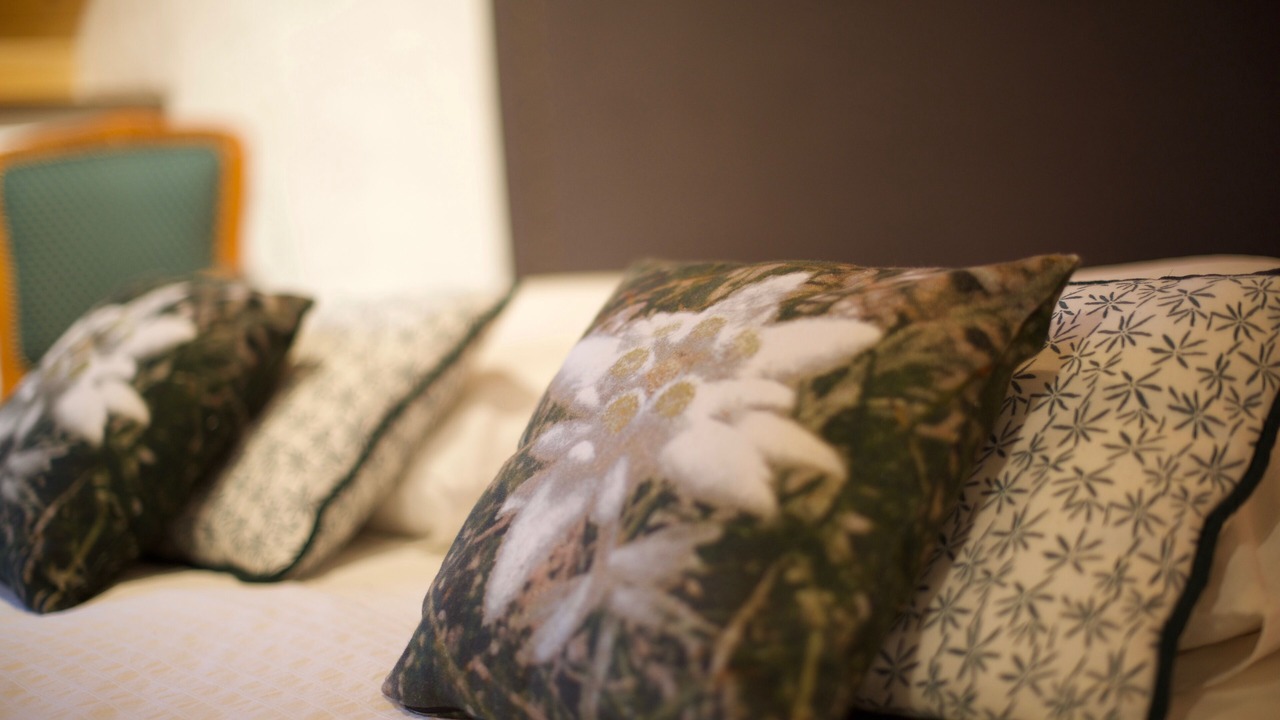 Photo of Bedroom in Lepin-le-Lac