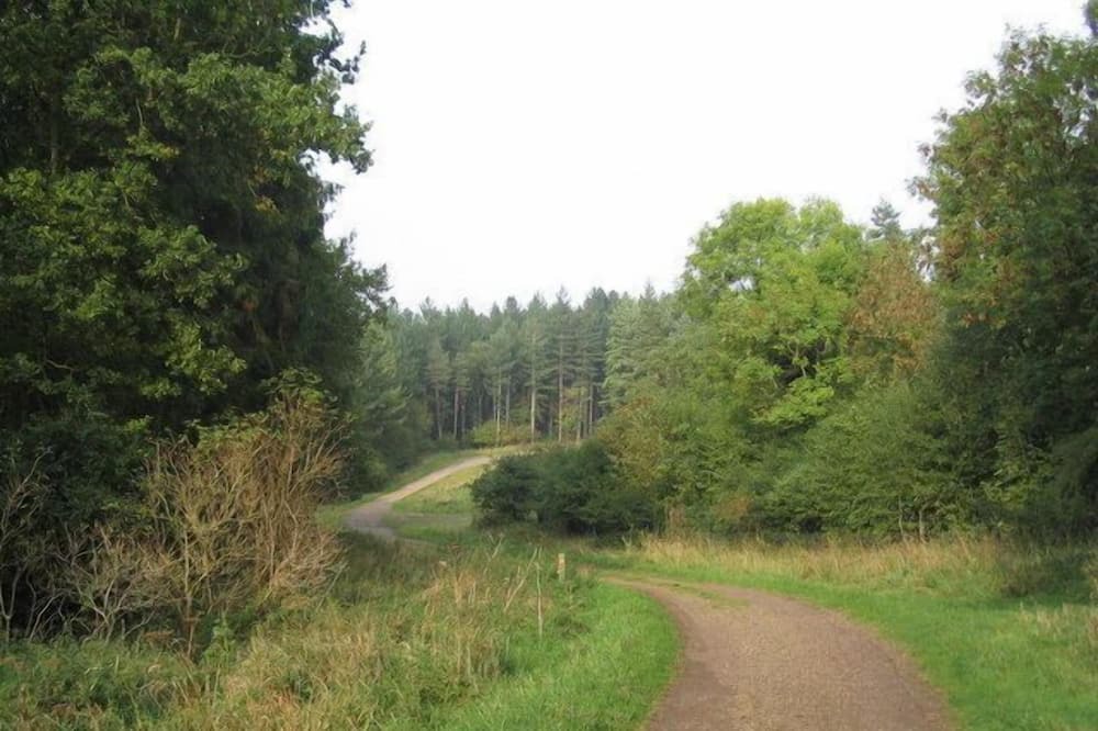 Photo of Others in Market Overton