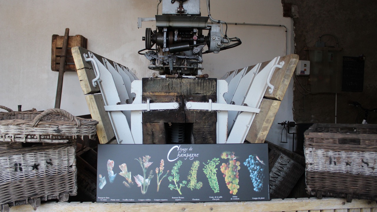 Photo of Outdoor in Mardeuil