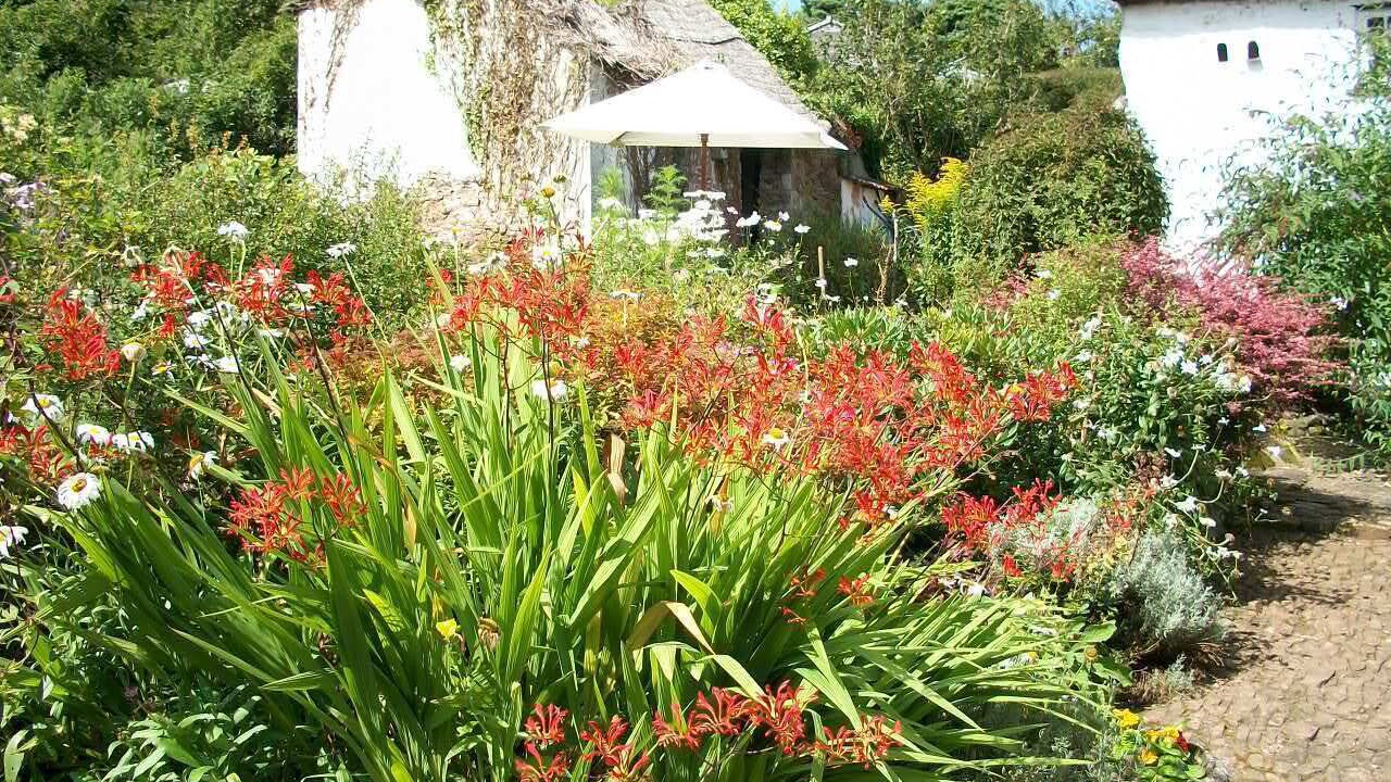 Photo of Others in East Portlemouth