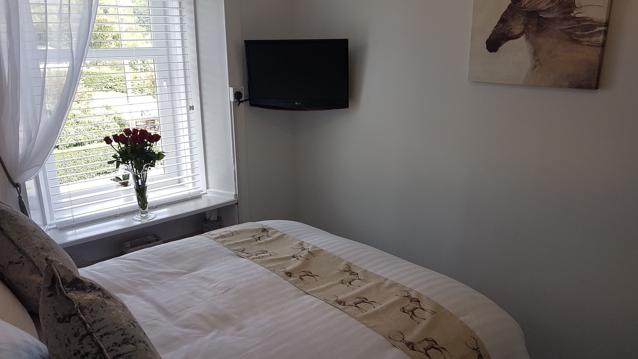 Photo of Others in Carluke