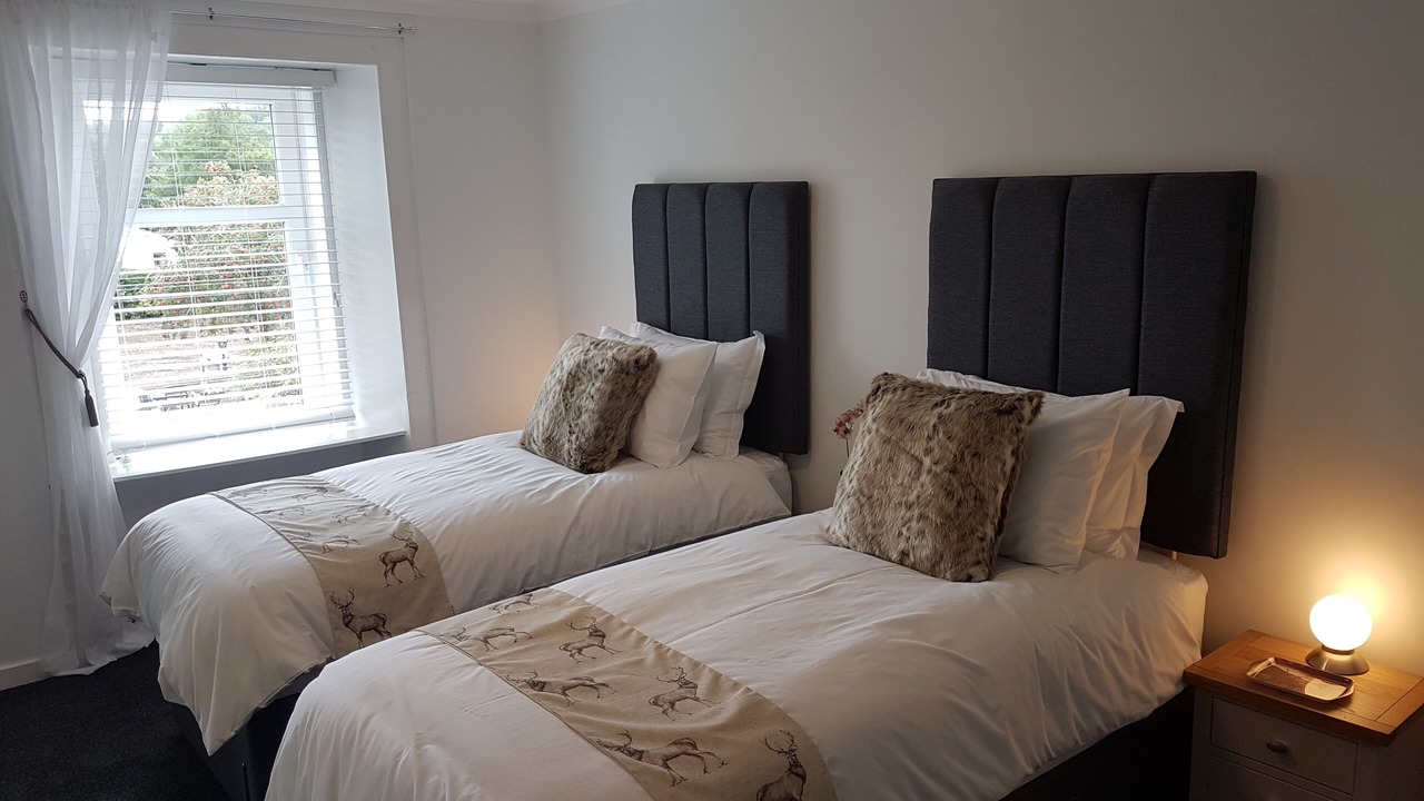 Photo of Others in Carluke