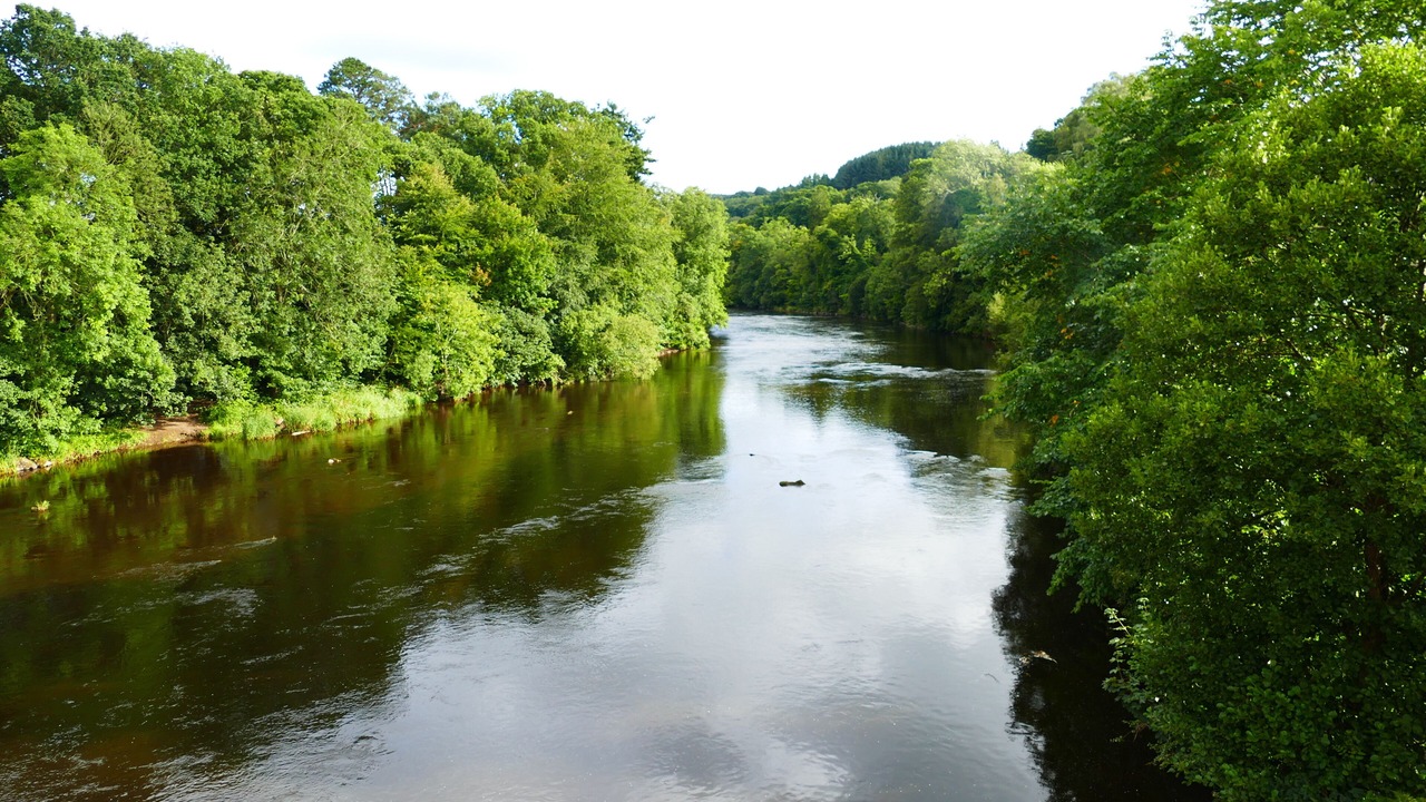 Photo of Others in Carluke